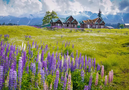 Kashmir Tour Package from Amritsar