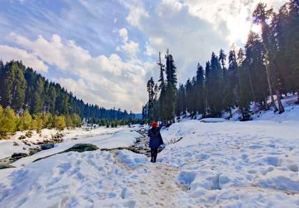 Srinagar & Gulmarg Getaway from Chandigarh