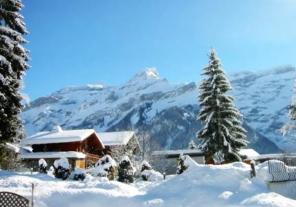 Classic Shimla Manali Escape From Chandigarh