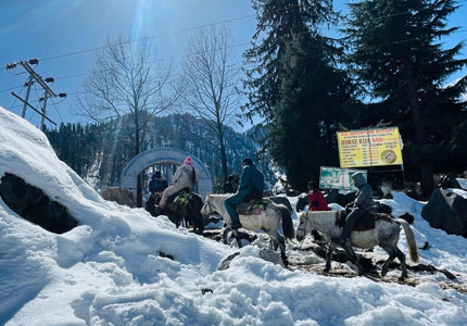 Amritsar–Manali Hill Escape