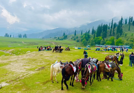 Kashmir Valley Special Grand Tour from Amritsar