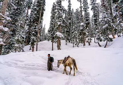 Amritsar to Kashmir Tour Package with Gulmarg & Pahalgam
