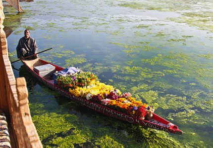 Taxi in Srinagar