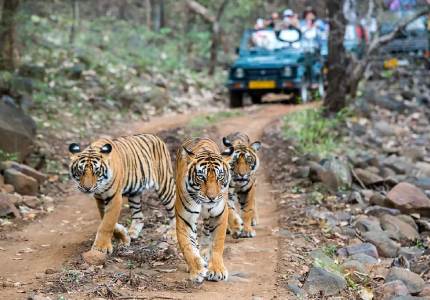 Chandigarh to Dalhousie Getaway