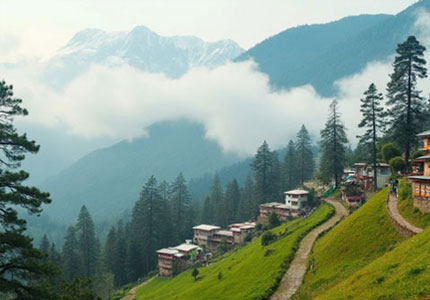 Manali Hills Tour from Chandigarh